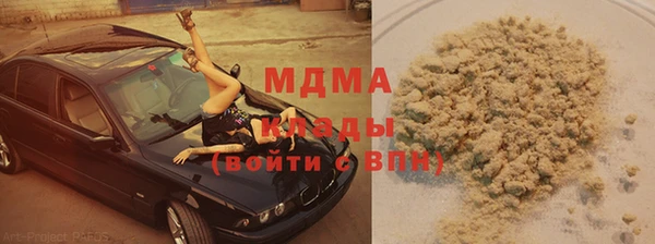 прущие грибы Балахна