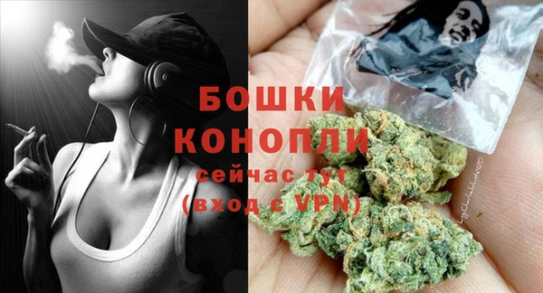 прущие грибы Балахна