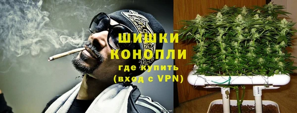 прущие грибы Балахна