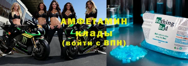 прущие грибы Балахна