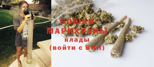 прущие грибы Балахна