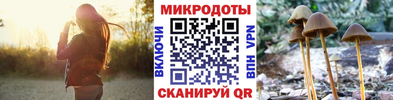 Псилоцибиновые грибы MAGIC MUSHROOMS  купить наркоту  MEGA ONION  Кущёвская 